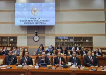 RDPU KUHAP, Peradi Sampaikan Kajian dan Masukan ke DPR