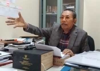 Pakar Hukum: Penambangan di Raja Ampat Melanggar UU 1/2024 dan Keputusan MK