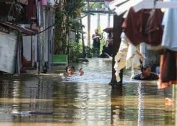 Diana Dewi: Penanganan Banjir di Jakarta Perlu Kolaborasi Semua Pihak