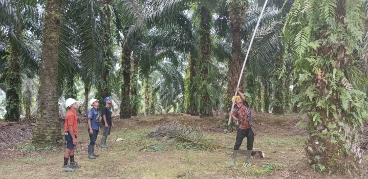 Dapat Izin Kelola Lahan Sawit, PT IMF Siap Bantu Korporasi Lain