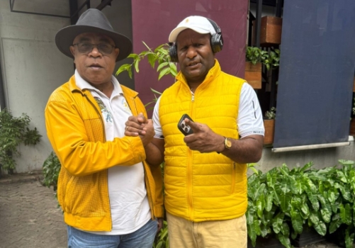 Politisi Golkar Kecam Provokasi Penolakan Perluasan Lahan Sawit di Papua