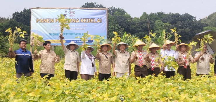 Panen Raya Kedelai, Gerakan Pramuka Kolaborasi Optimalkan Swasembada Pangan